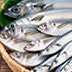 The Fats of Life website